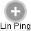 Lin Ping - Vizualizace  propojení osoby a firem v obchodním rejstříku