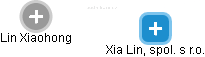 Lin Xiaohong - Vizualizace  propojení osoby a firem v obchodním rejstříku