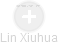 Lin Xiuhua - Vizualizace  propojení osoby a firem v obchodním rejstříku