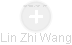 Lin Zhi Wang - Vizualizace  propojení osoby a firem v obchodním rejstříku