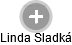 Linda Sladká - Vizualizace  propojení osoby a firem v obchodním rejstříku