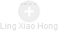 Ling Xiao Hong - Vizualizace  propojení osoby a firem v obchodním rejstříku