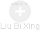  Liu X. - Vizualizace  propojení osoby a firem v obchodním rejstříku
