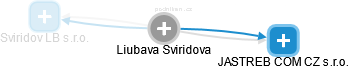 Liubava Sviridova - Vizualizace  propojení osoby a firem v obchodním rejstříku