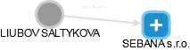 LIUBOV SALTYKOVA - Vizualizace  propojení osoby a firem v obchodním rejstříku