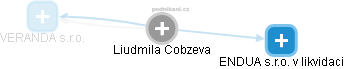  Liudmila C. - Vizualizace  propojení osoby a firem v obchodním rejstříku