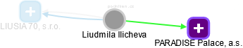 Liudmila Ilicheva - Vizualizace  propojení osoby a firem v obchodním rejstříku