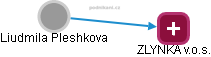 Liudmila Pleshkova - Vizualizace  propojení osoby a firem v obchodním rejstříku
