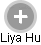 Liya Hu - Vizualizace  propojení osoby a firem v obchodním rejstříku