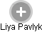 Liya Pavlyk - Vizualizace  propojení osoby a firem v obchodním rejstříku