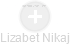 Lizabet Nikaj - Vizualizace  propojení osoby a firem v obchodním rejstříku