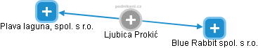  Ljubica P. - Vizualizace  propojení osoby a firem v obchodním rejstříku