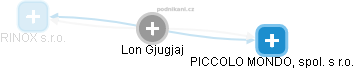 Lon Gjugjaj - Vizualizace  propojení osoby a firem v obchodním rejstříku