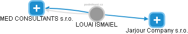 LOUAI ISMAIEL - Vizualizace  propojení osoby a firem v obchodním rejstříku