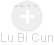 Lu Bi Cun - Vizualizace  propojení osoby a firem v obchodním rejstříku