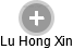 Lu Hong Xin - Vizualizace  propojení osoby a firem v obchodním rejstříku