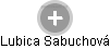 Lubica Sabuchová - Vizualizace  propojení osoby a firem v obchodním rejstříku