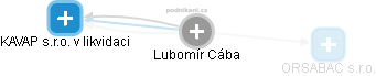Lubomír Cába - Vizualizace  propojení osoby a firem v obchodním rejstříku