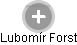 Lubomír Forst - Vizualizace  propojení osoby a firem v obchodním rejstříku