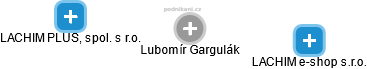 Lubomír Gargulák - Vizualizace  propojení osoby a firem v obchodním rejstříku