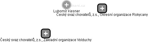 Lubomír Kesner - Vizualizace  propojení osoby a firem v obchodním rejstříku