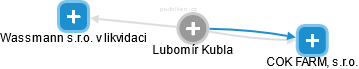 Lubomír Kubla - Vizualizace  propojení osoby a firem v obchodním rejstříku