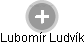  Lubomír L. - Vizualizace  propojení osoby a firem v obchodním rejstříku