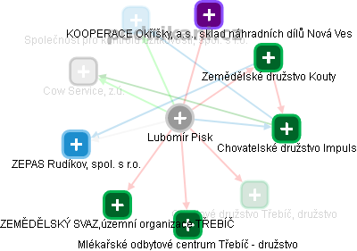 Lubomír Pisk - Vizualizace  propojení osoby a firem v obchodním rejstříku