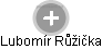  Lubomír R. - Vizualizace  propojení osoby a firem v obchodním rejstříku
