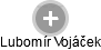  Lubomír V. - Vizualizace  propojení osoby a firem v obchodním rejstříku