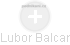 Lubor Balcar - Vizualizace  propojení osoby a firem v obchodním rejstříku