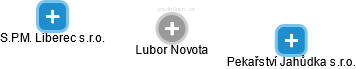 Lubor Novota - Vizualizace  propojení osoby a firem v obchodním rejstříku