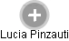 Lucia Pinzauti - Vizualizace  propojení osoby a firem v obchodním rejstříku