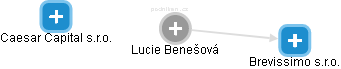  Lucie B. - Vizualizace  propojení osoby a firem v obchodním rejstříku
