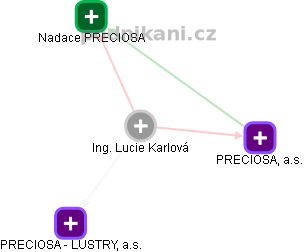 Lucie Karlová - Vizualizace  propojení osoby a firem v obchodním rejstříku