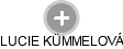  Kümmelová L. - Vizualizace  propojení osoby a firem v obchodním rejstříku