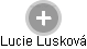 Lucie Lusková - Vizualizace  propojení osoby a firem v obchodním rejstříku