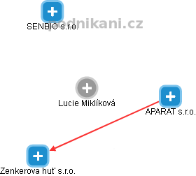 Lucie Miklíková - Vizualizace  propojení osoby a firem v obchodním rejstříku