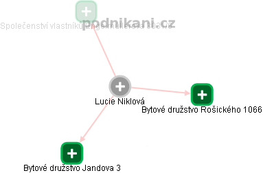 Lucie Niklová - Vizualizace  propojení osoby a firem v obchodním rejstříku