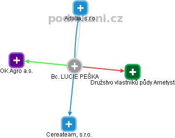 LUCIE PEŠKA - Vizualizace  propojení osoby a firem v obchodním rejstříku