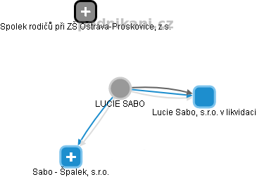 LUCIE SABO - Vizualizace  propojení osoby a firem v obchodním rejstříku