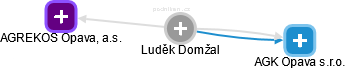 Luděk Domžal - Vizualizace  propojení osoby a firem v obchodním rejstříku
