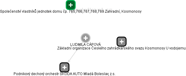  Ludmila C. - Vizualizace  propojení osoby a firem v obchodním rejstříku