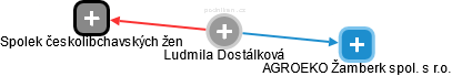  Ludmila D. - Vizualizace  propojení osoby a firem v obchodním rejstříku