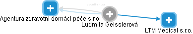  Ludmila G. - Vizualizace  propojení osoby a firem v obchodním rejstříku