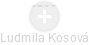 Ludmila Kosová - Vizualizace  propojení osoby a firem v obchodním rejstříku