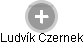 Ludvík Czernek - Vizualizace  propojení osoby a firem v obchodním rejstříku