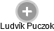 Ludvík Puczok - Vizualizace  propojení osoby a firem v obchodním rejstříku