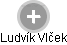 Ludvík Vlček - Vizualizace  propojení osoby a firem v obchodním rejstříku