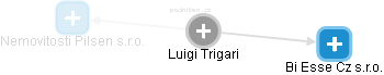 Luigi Trigari - Vizualizace  propojení osoby a firem v obchodním rejstříku
